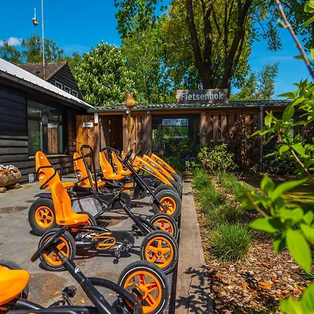 Comfortable Near Park De Veluwe Chalet *