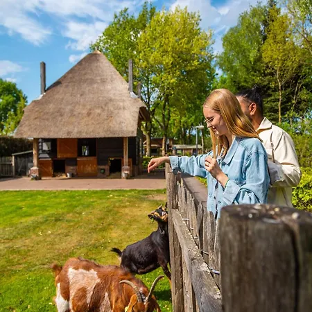 Comfortable Near Park De Veluwe