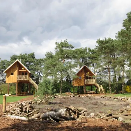 Comfortable Near Park De Veluwe Chalet *